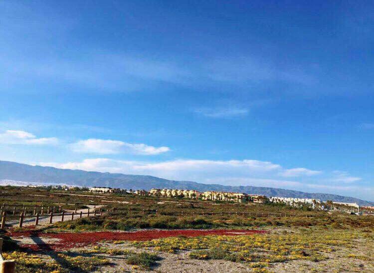 Apartamento Lujo, Primera Linea Playa, Garaje, Wifi, Piscina Climatizada Roquetas de Mar Eksteriør bilde